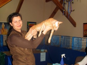Международная выставка кошек 14-15 мая 2011 (8)